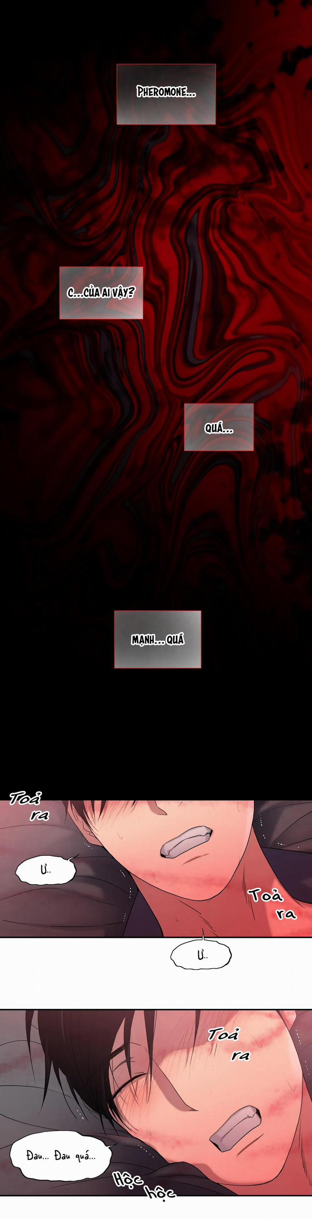 Đưa Đón Người Yêu 95 trang 1