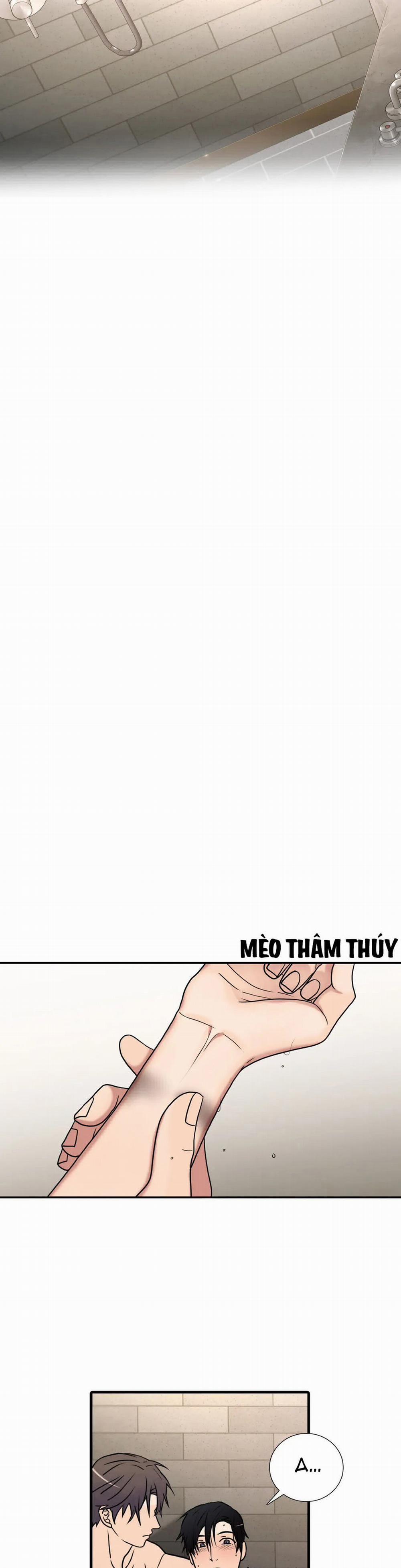 Đưa Đón Người Yêu 97 trang 13