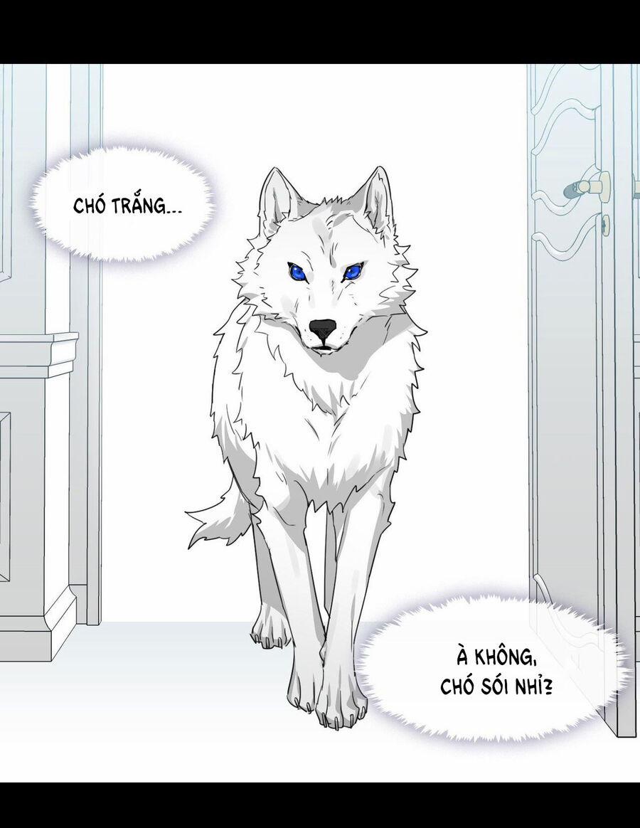 Đưa Em Đến Mặt Trăng 50.1 trang 19