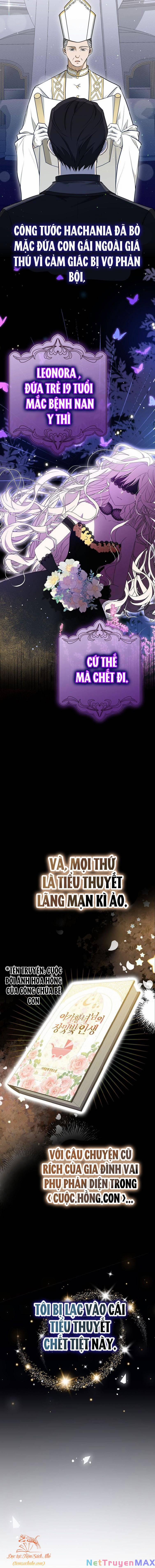 Đứa Trẻ Côn Đồ Nhà Công Tước 0 trang 3