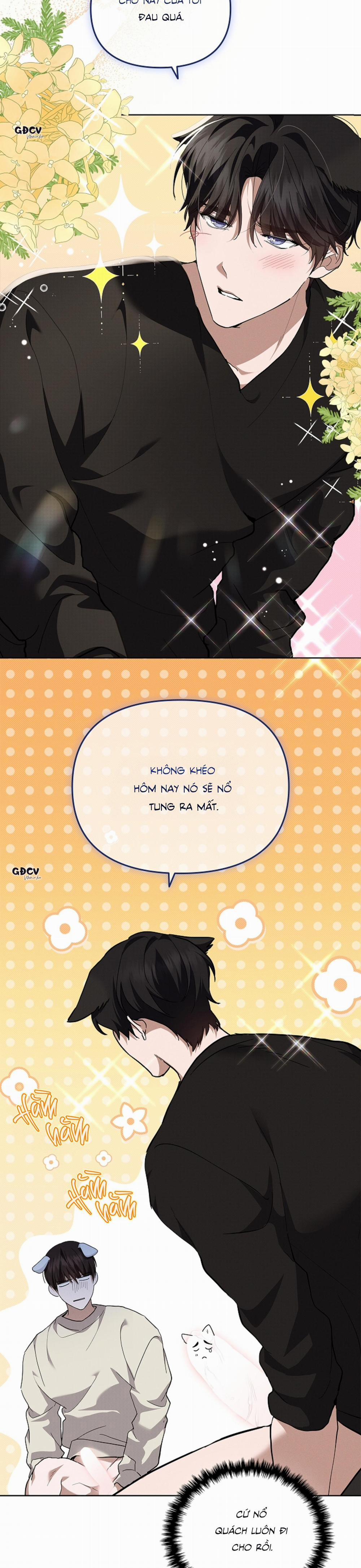 ĐỪNG CHẠM VÀO CÚN CON CỦA TÔI 25 18++ trang 10