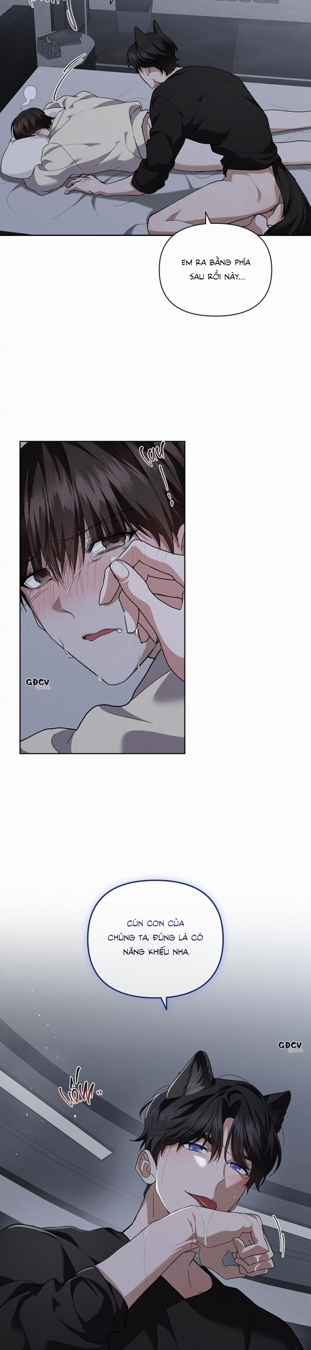 ĐỪNG CHẠM VÀO CÚN CON CỦA TÔI 25 18++ trang 18