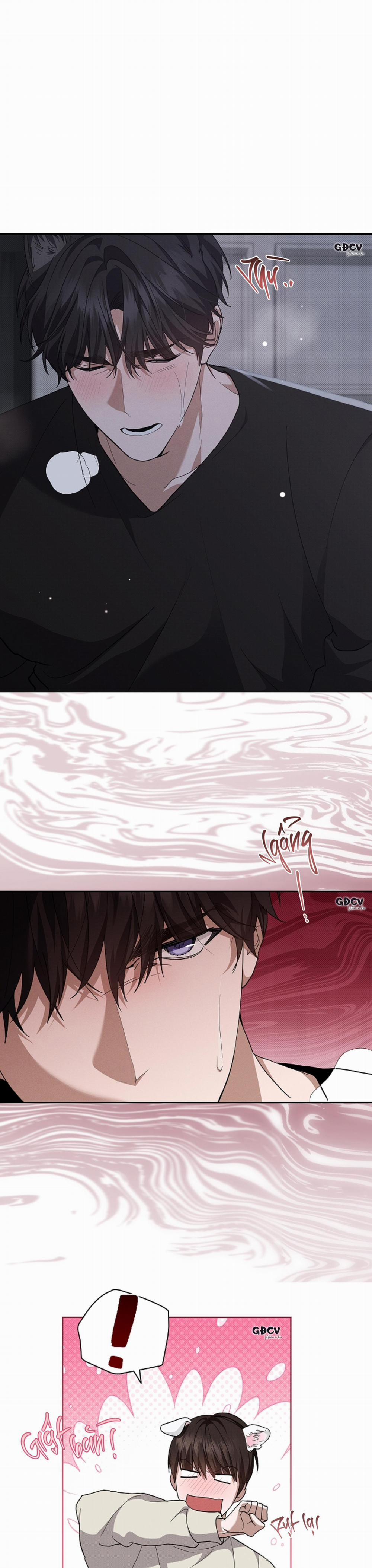 ĐỪNG CHẠM VÀO CÚN CON CỦA TÔI 25 18++ trang 2