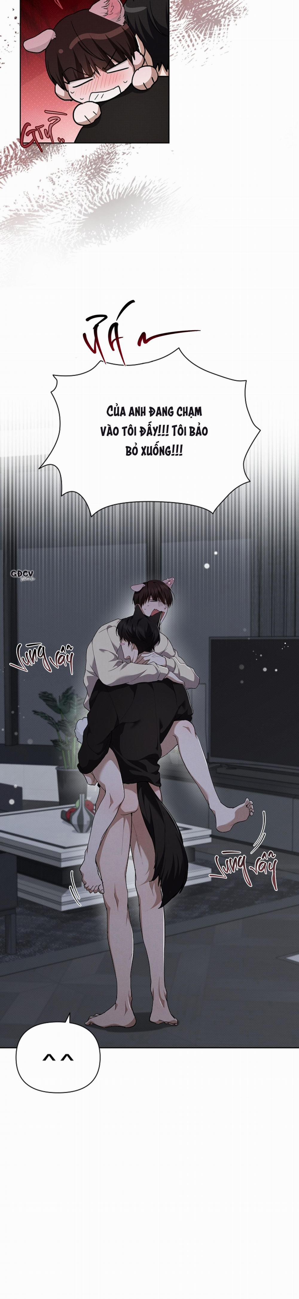 ĐỪNG CHẠM VÀO CÚN CON CỦA TÔI 25 18++ trang 7
