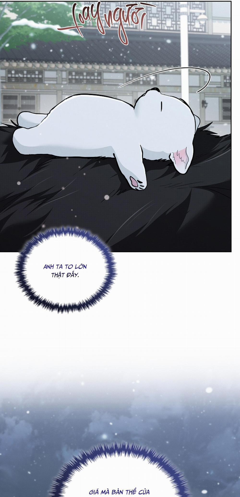 ĐỪNG CHẠM VÀO CÚN CON CỦA TÔI 34 H+ trang 13