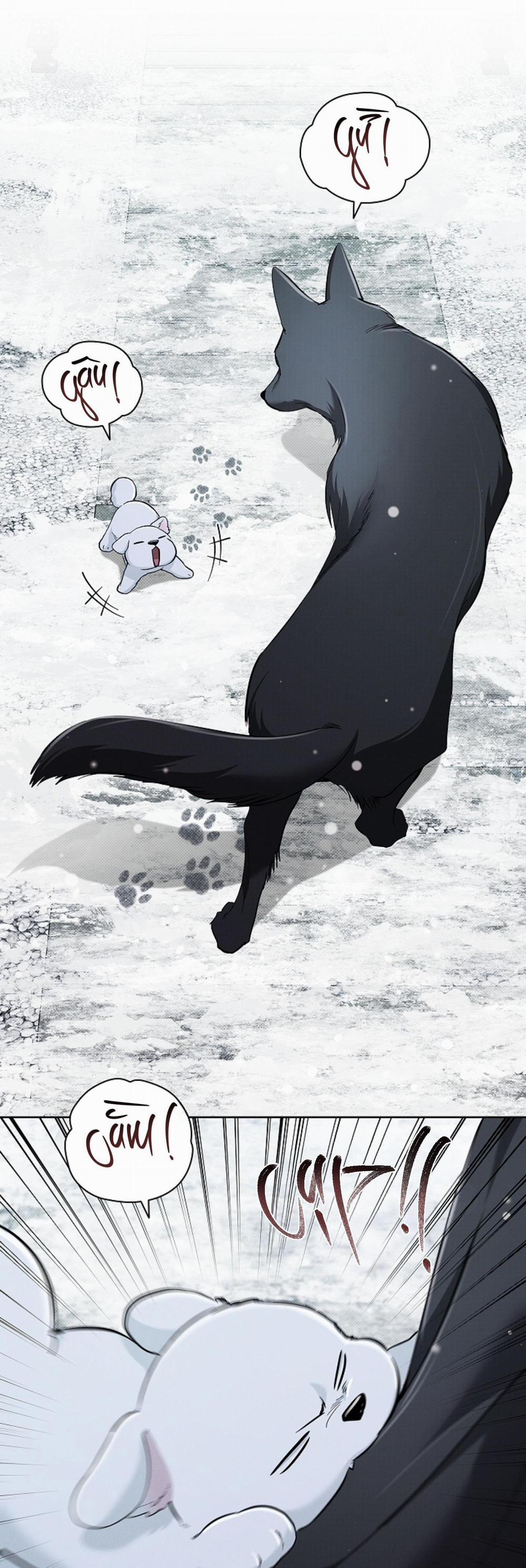 ĐỪNG CHẠM VÀO CÚN CON CỦA TÔI 34 H+ trang 2