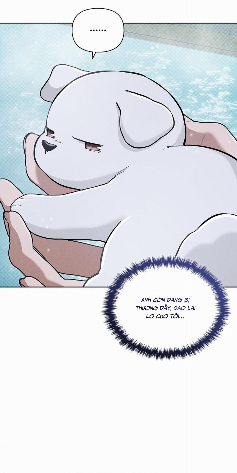 ĐỪNG CHẠM VÀO CÚN CON CỦA TÔI 34 H+ trang 30