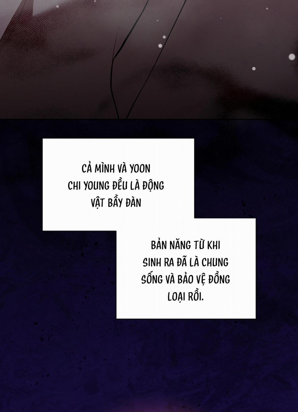 ĐỪNG CHẠM VÀO CÚN CON CỦA TÔI 34 H+ trang 42