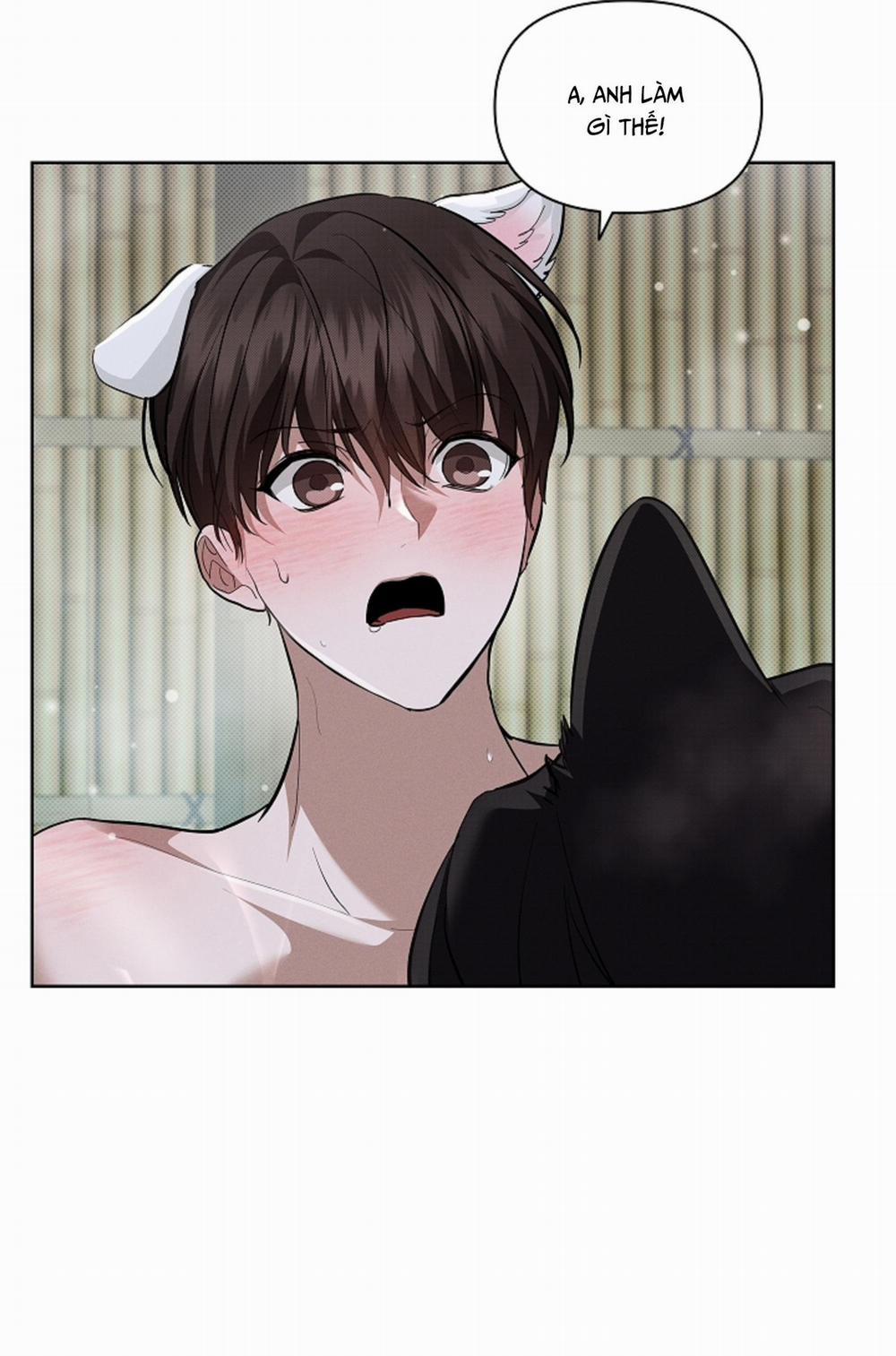 ĐỪNG CHẠM VÀO CÚN CON CỦA TÔI 34 H+ trang 67