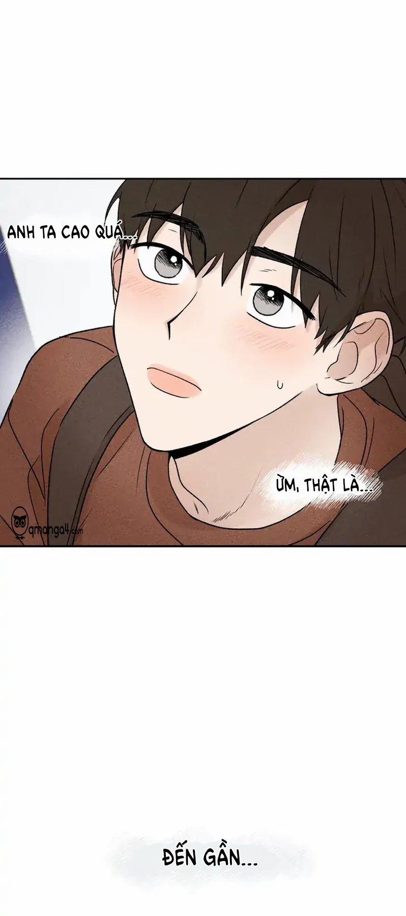 Đừng Cho Tôi Hy Vọng 1 trang 17