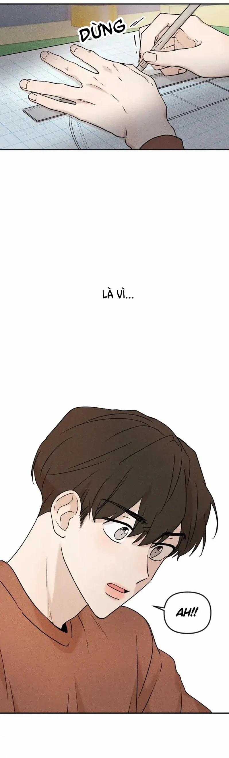 Đừng Cho Tôi Hy Vọng 1 trang 4