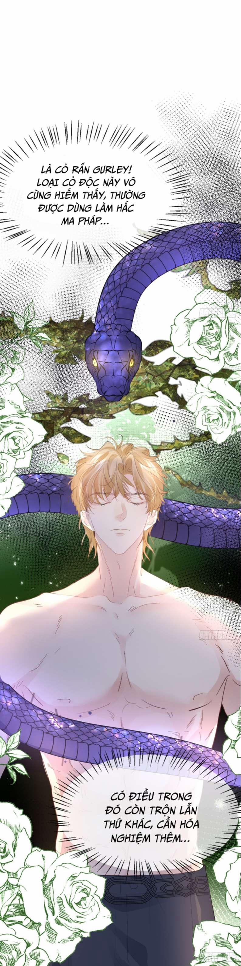 Đừng Đắc Tội Nam Chính 4 trang 11