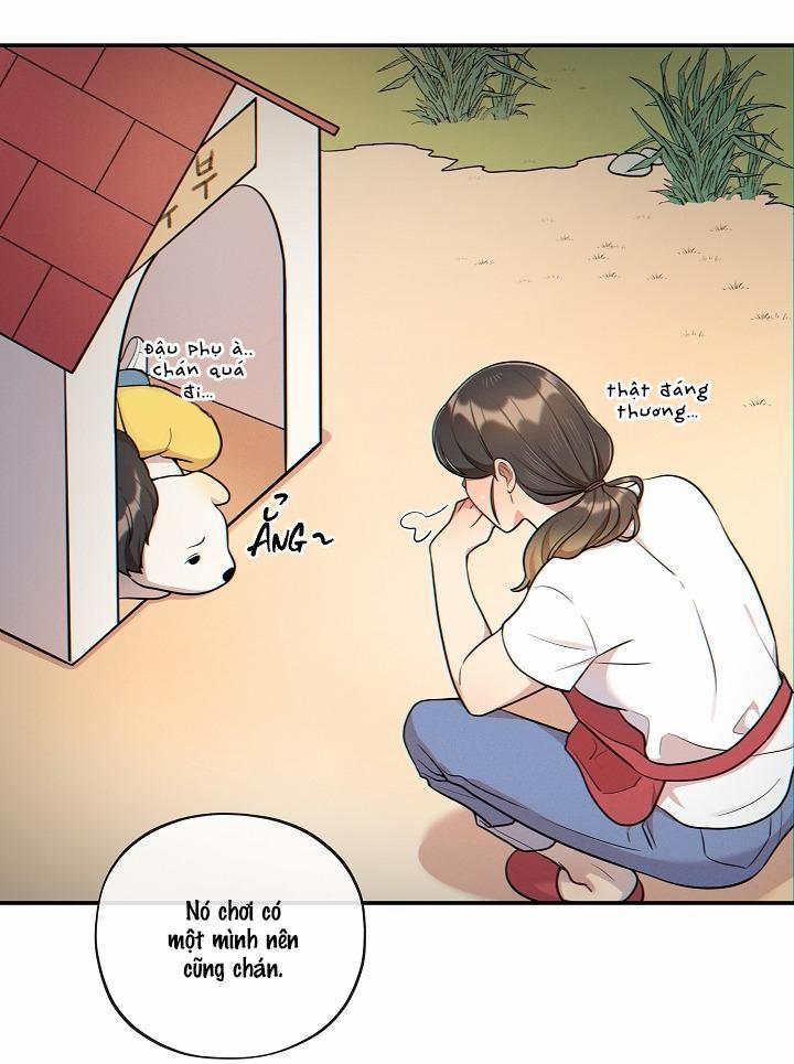 Đừng Để Bị Phát Hiện!! 19 ngang raw trang 55