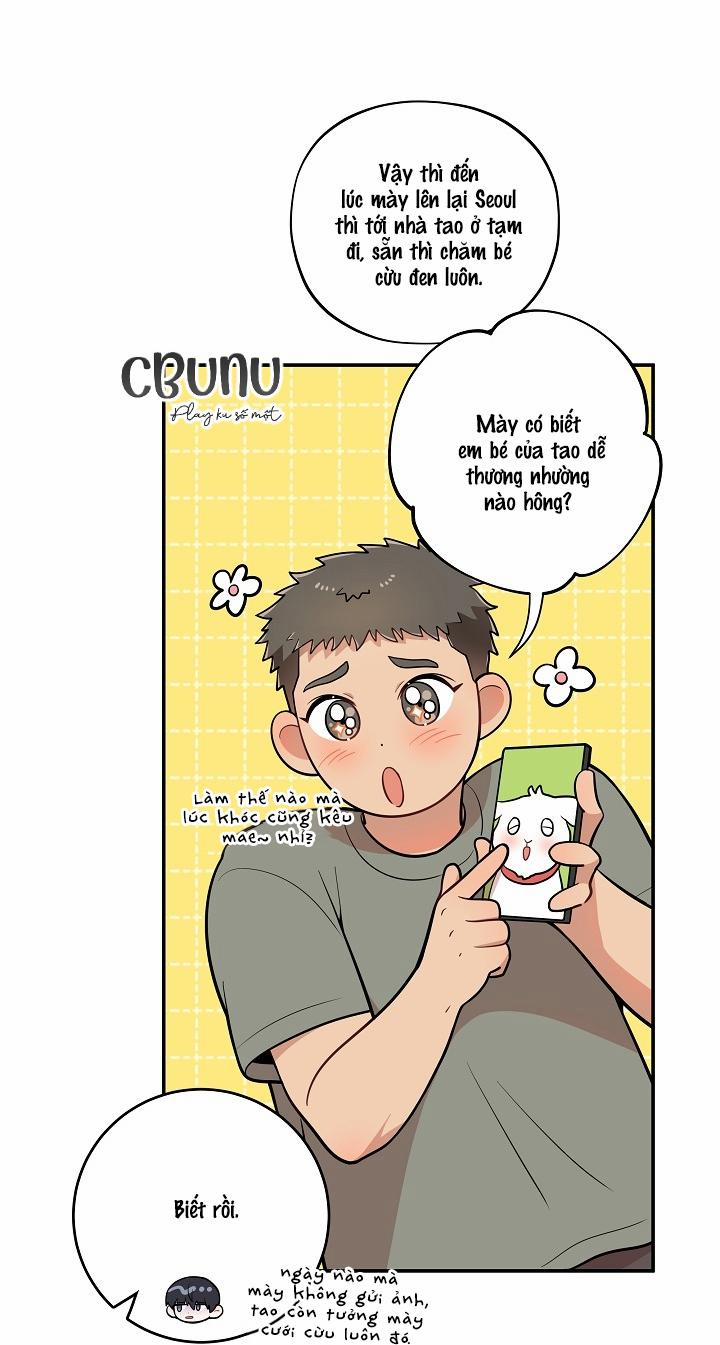 Đừng Để Bị Phát Hiện!! 19 ngang raw trang 8