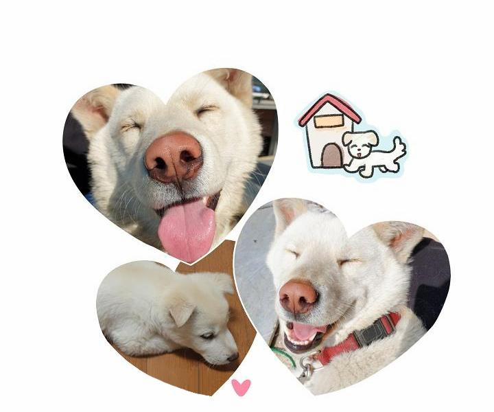 Đừng Để Bị Phát Hiện!! 25 Hậu kì trang 13