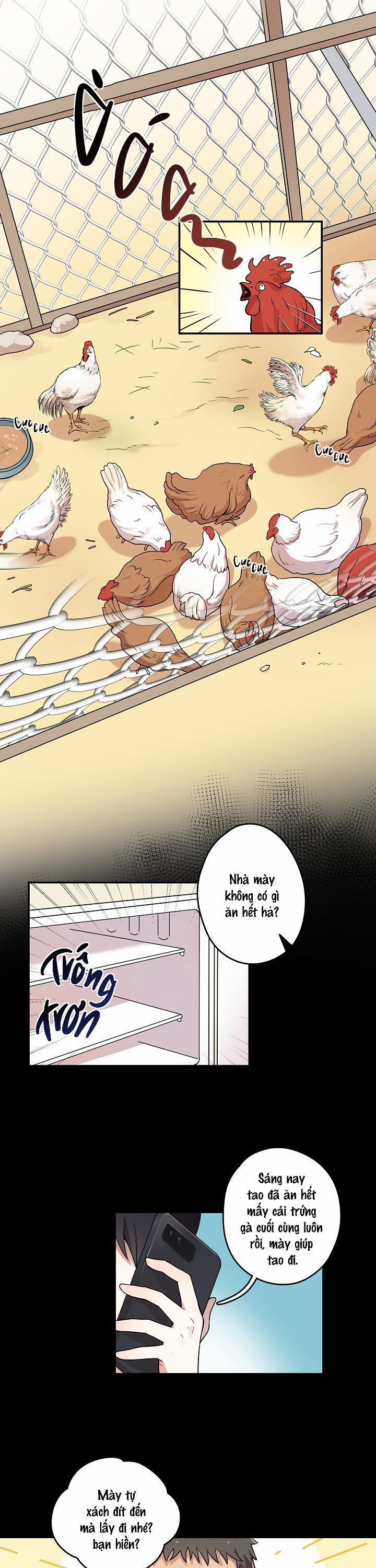 Đừng Để Bị Phát Hiện!! 4 trang 0