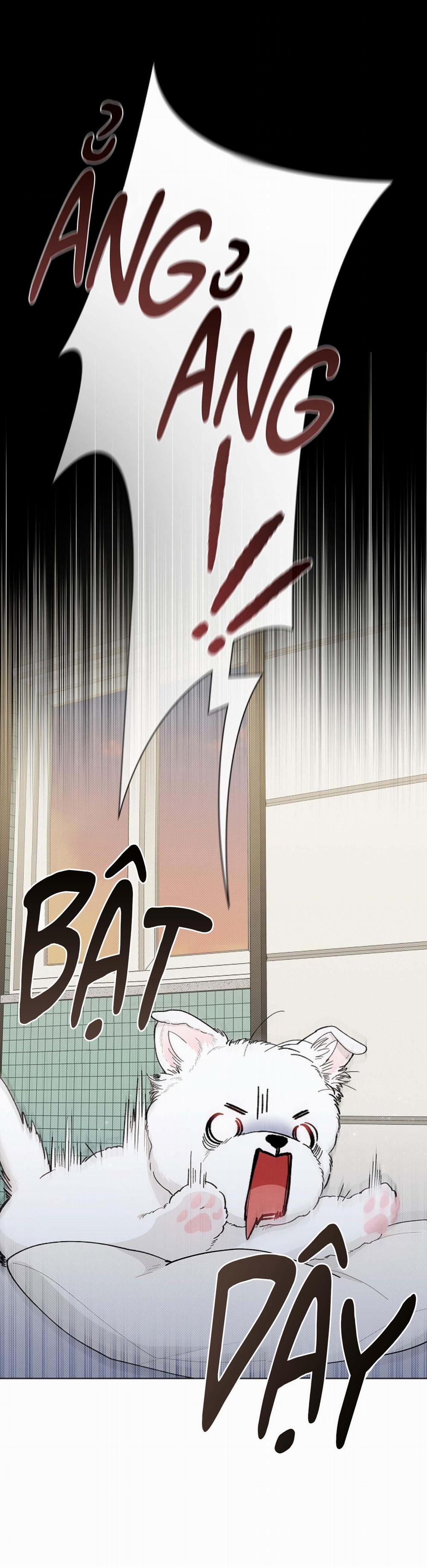 ĐỪNG ĐỘNG VÀO CÚN CON! 1 trang 7