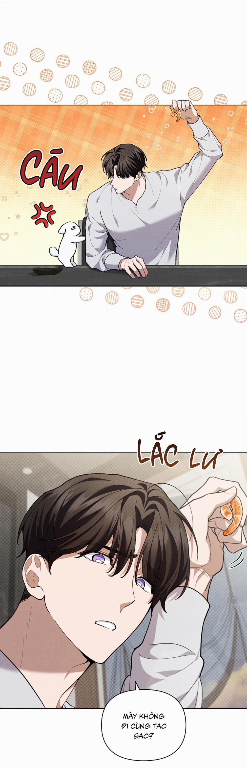 ĐỪNG ĐỘNG VÀO CÚN CON! 10 trang 27