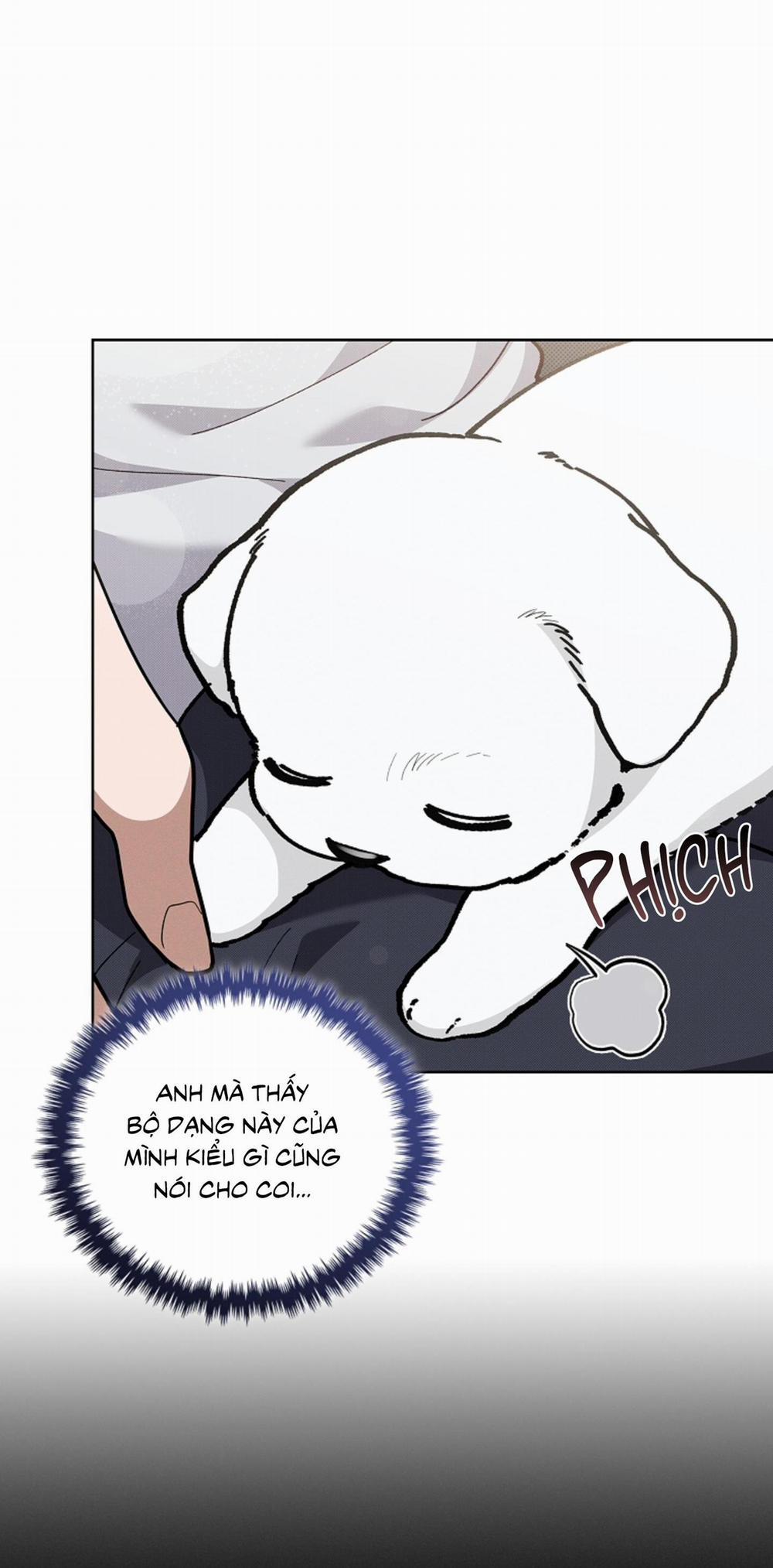 ĐỪNG ĐỘNG VÀO CÚN CON! 10 trang 46