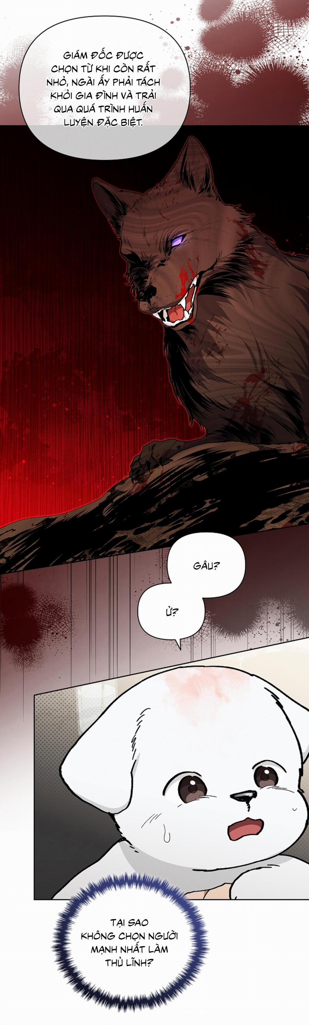 ĐỪNG ĐỘNG VÀO CÚN CON! 11 trang 14