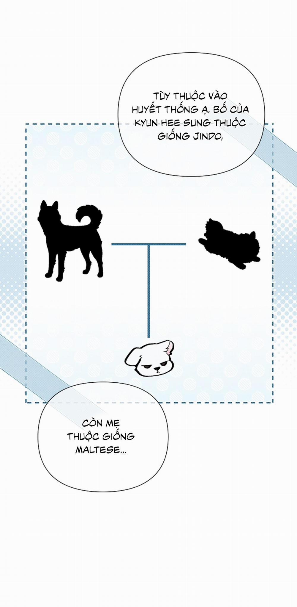 ĐỪNG ĐỘNG VÀO CÚN CON! 11 trang 55