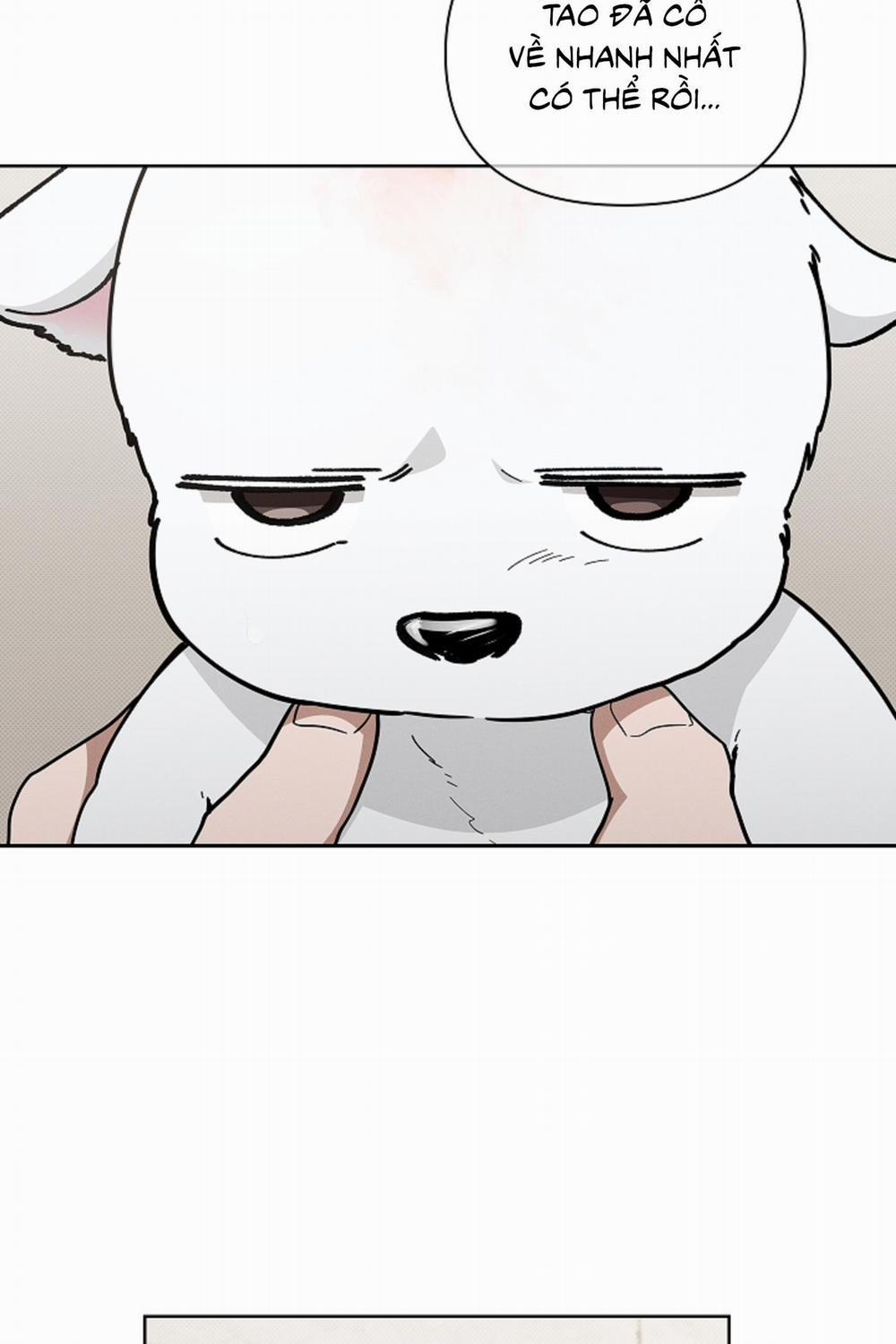 ĐỪNG ĐỘNG VÀO CÚN CON! 12 trang 24