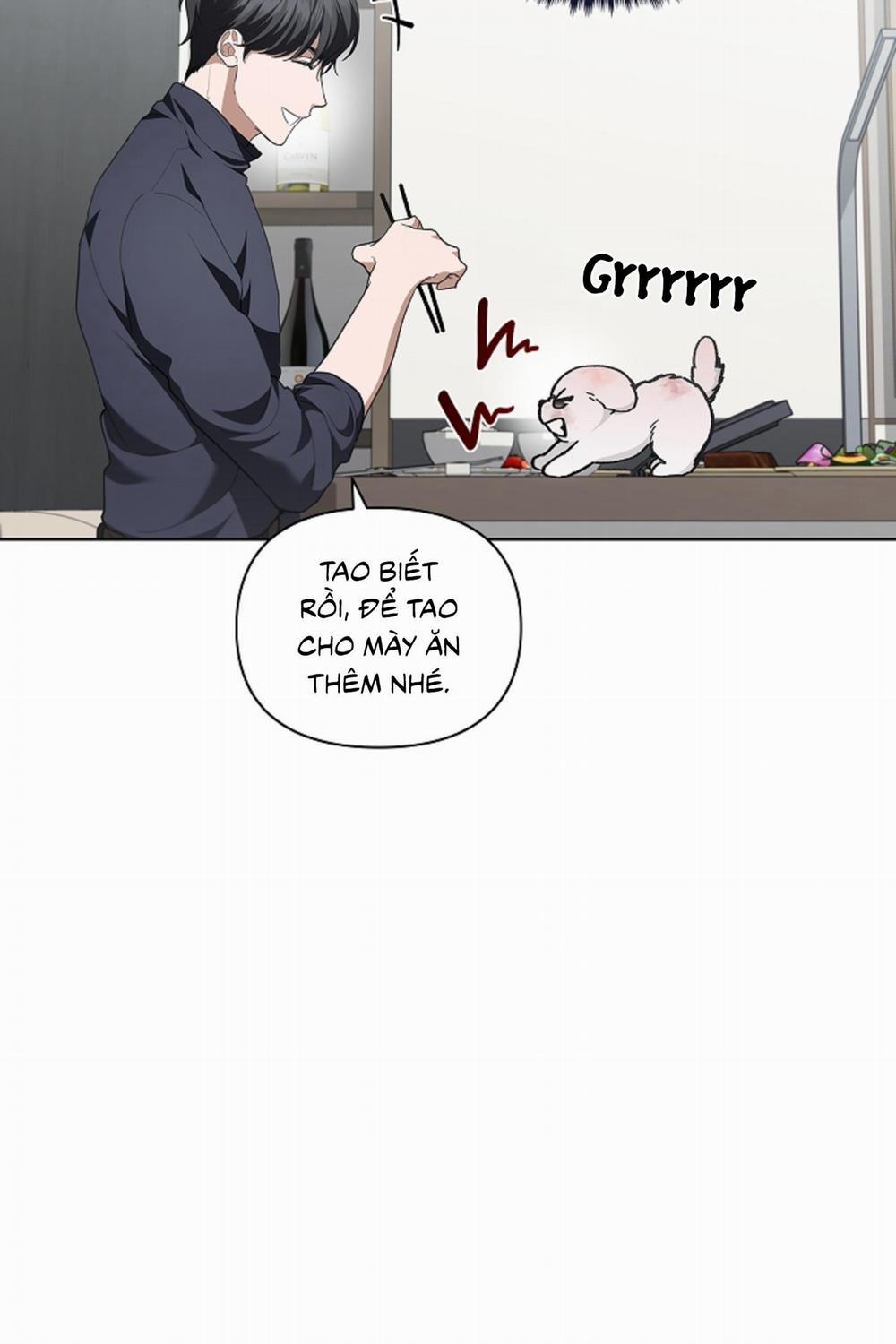 ĐỪNG ĐỘNG VÀO CÚN CON! 12 trang 67