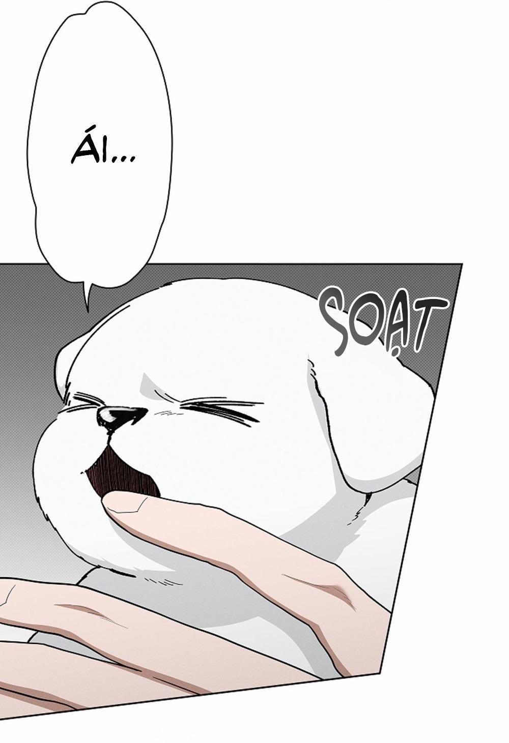 ĐỪNG ĐỘNG VÀO CÚN CON! 13 trang 36