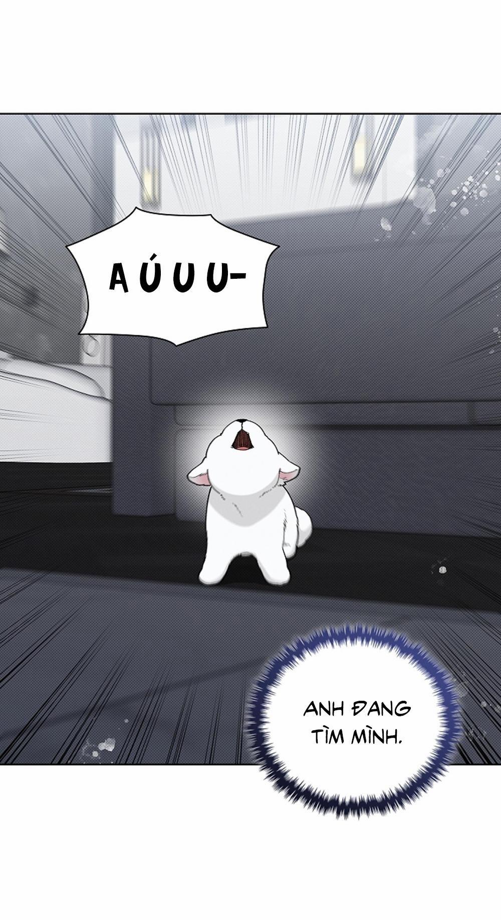 ĐỪNG ĐỘNG VÀO CÚN CON! 13 trang 45