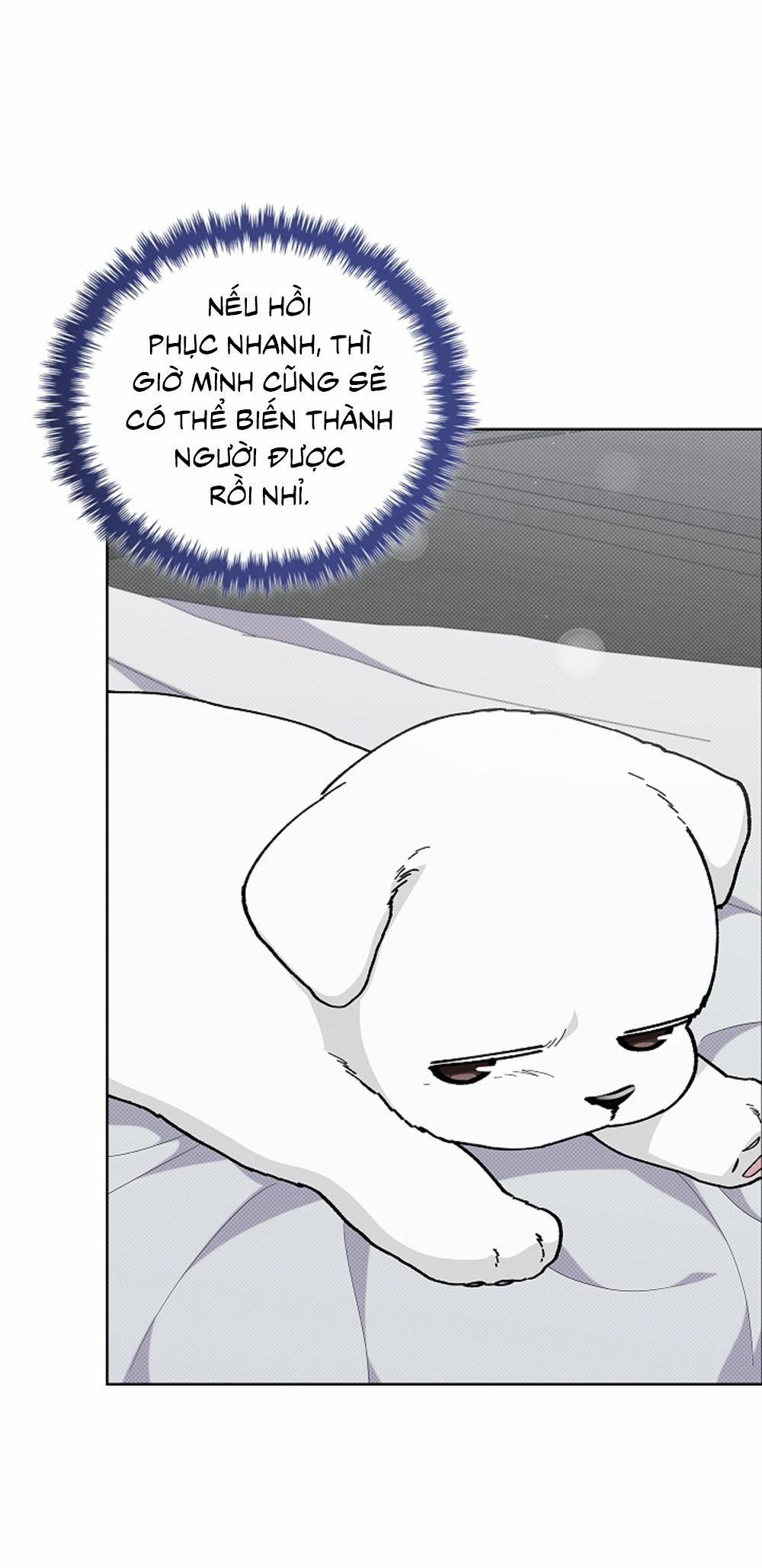 ĐỪNG ĐỘNG VÀO CÚN CON! 13 trang 51