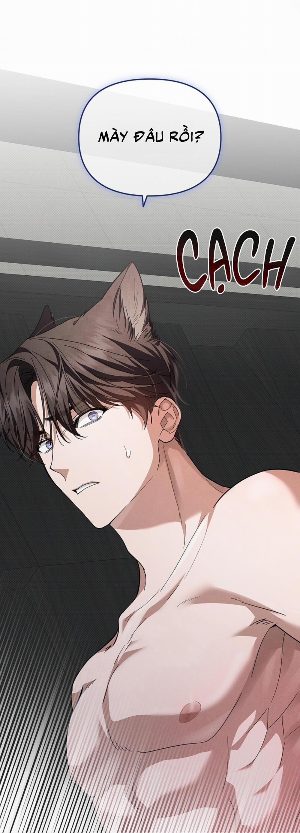 ĐỪNG ĐỘNG VÀO CÚN CON! 14 trang 71