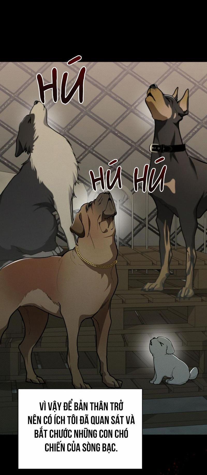 ĐỪNG ĐỘNG VÀO CÚN CON! 16 trang 19