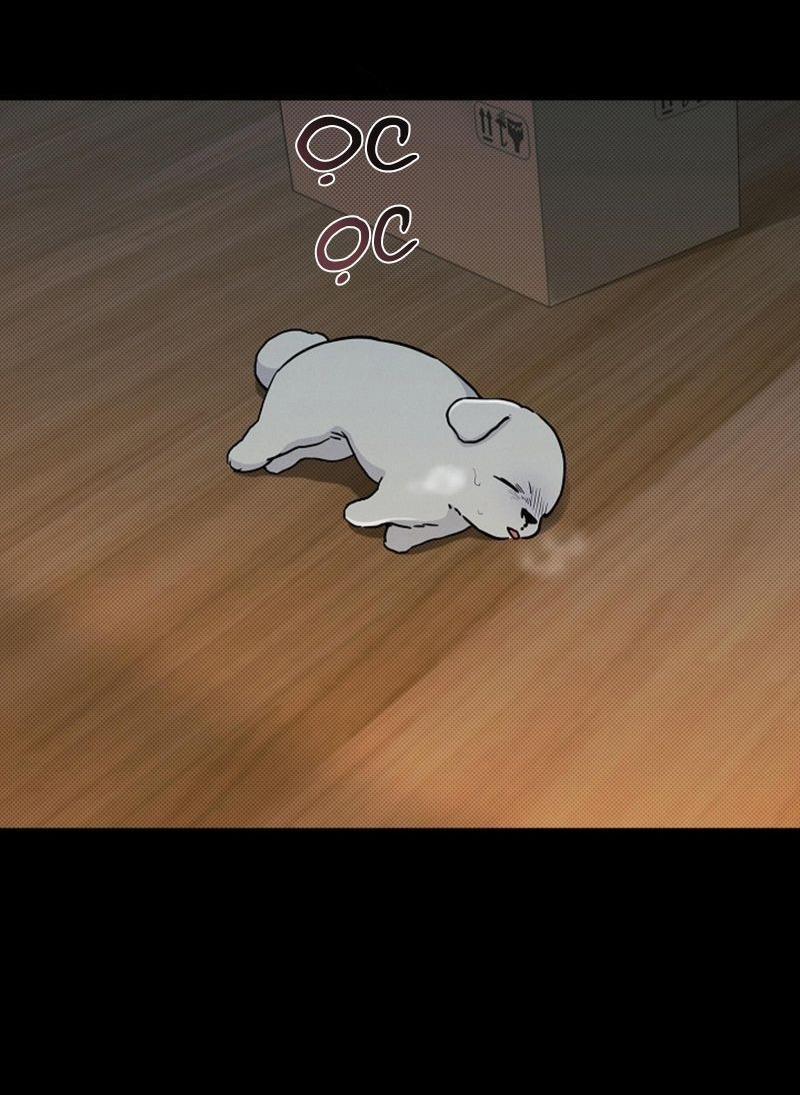 ĐỪNG ĐỘNG VÀO CÚN CON! 16 trang 7