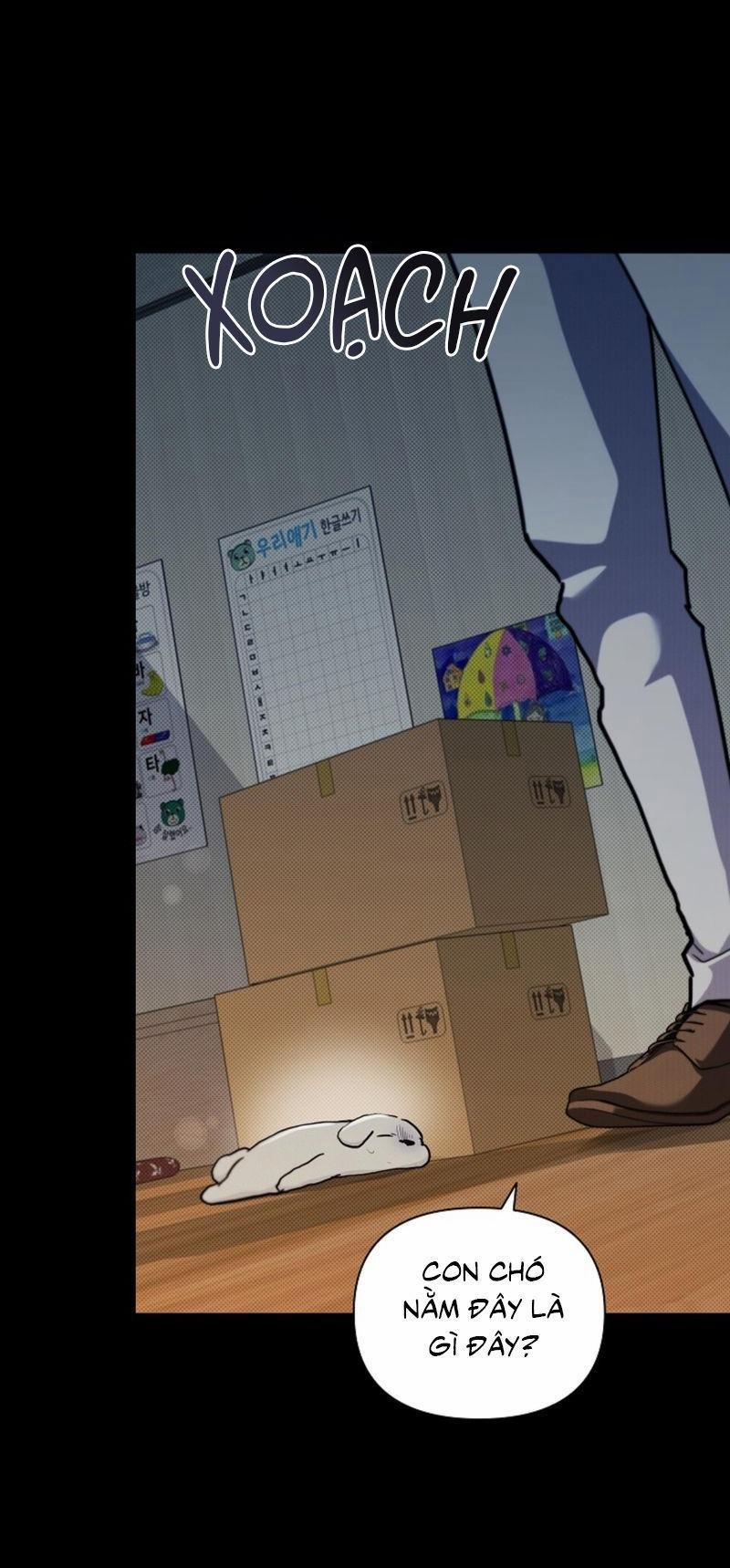 ĐỪNG ĐỘNG VÀO CÚN CON! 16 trang 8