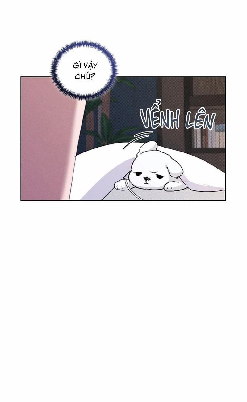 ĐỪNG ĐỘNG VÀO CÚN CON! 17 trang 36