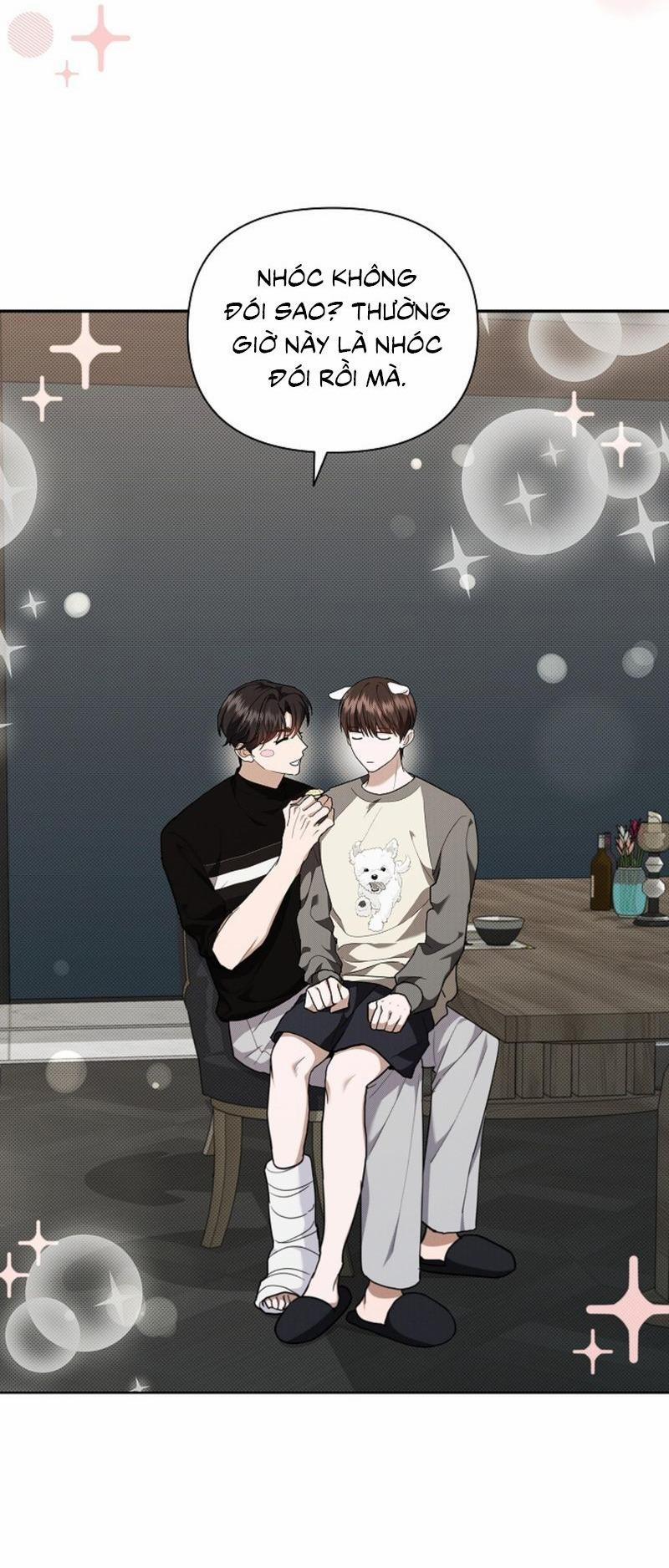 ĐỪNG ĐỘNG VÀO CÚN CON! 17 trang 6