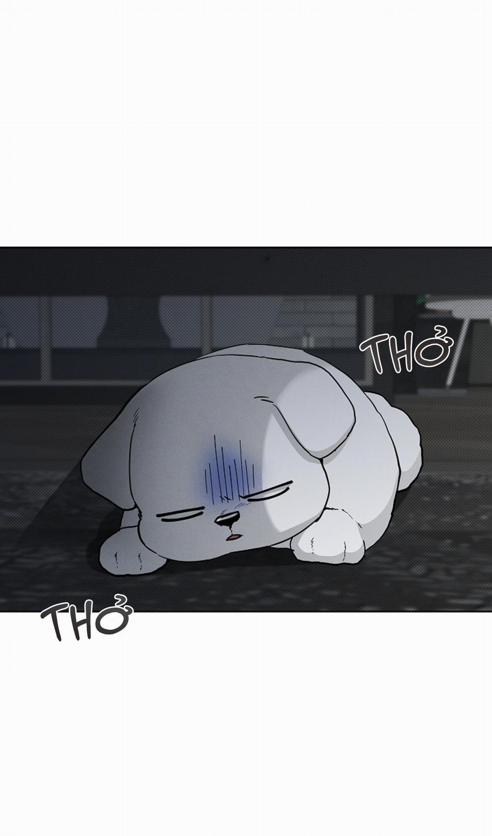 ĐỪNG ĐỘNG VÀO CÚN CON! 19 trang 41