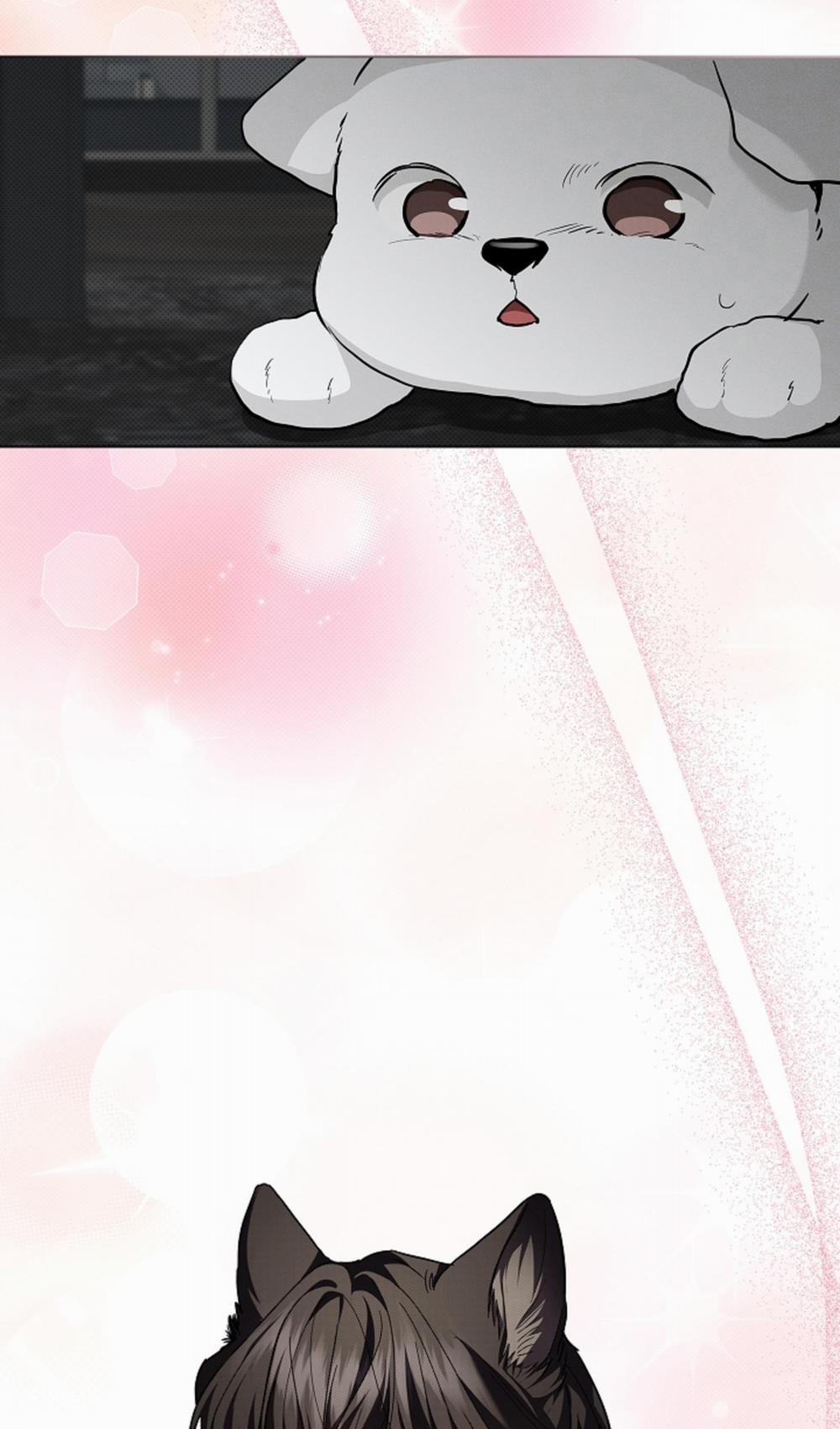 ĐỪNG ĐỘNG VÀO CÚN CON! 19 trang 46