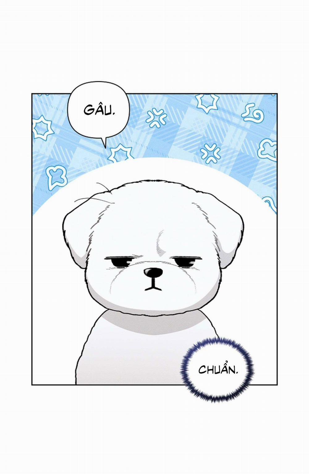 ĐỪNG ĐỘNG VÀO CÚN CON! 2 trang 1