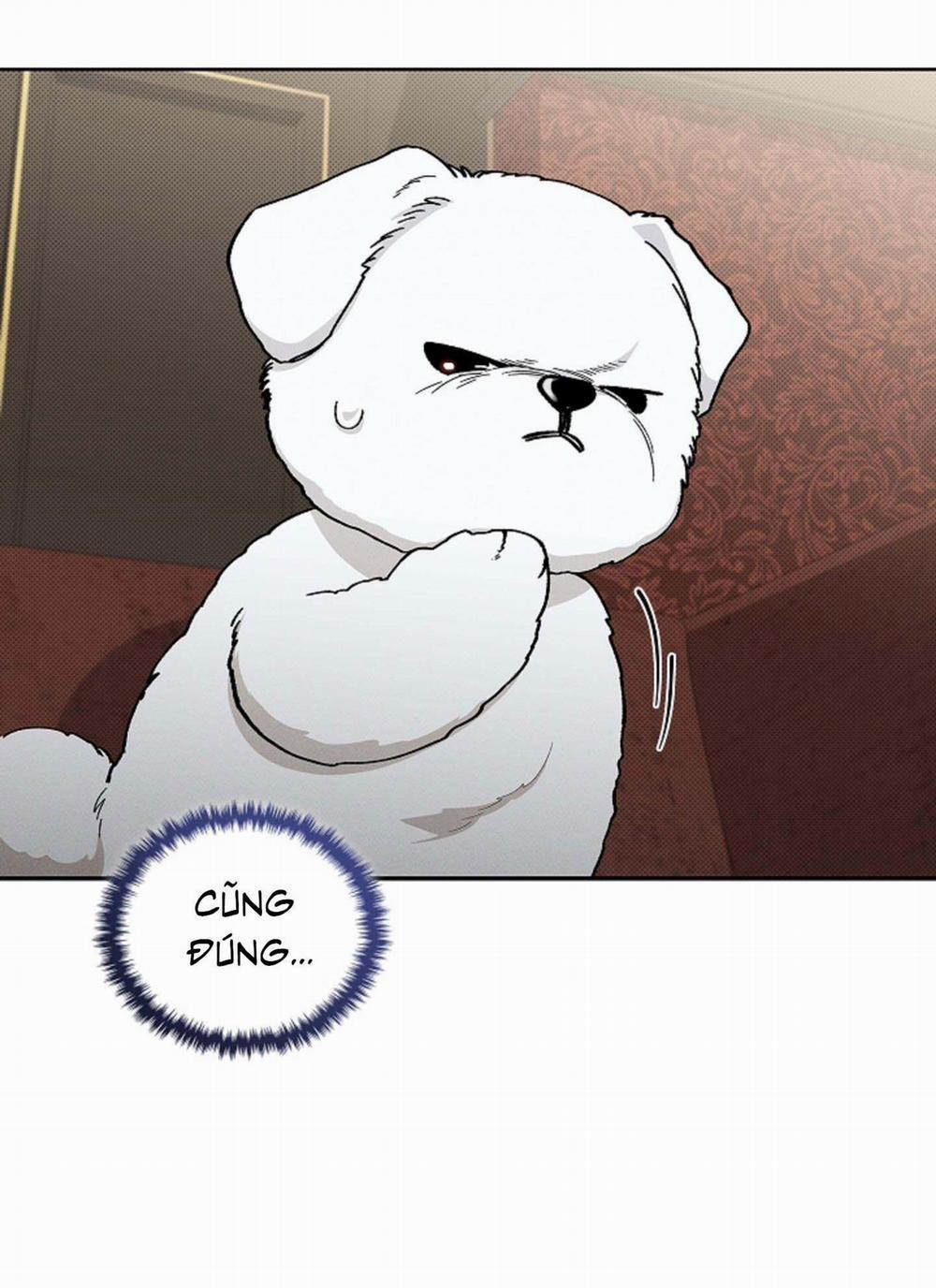 ĐỪNG ĐỘNG VÀO CÚN CON! 2 trang 12