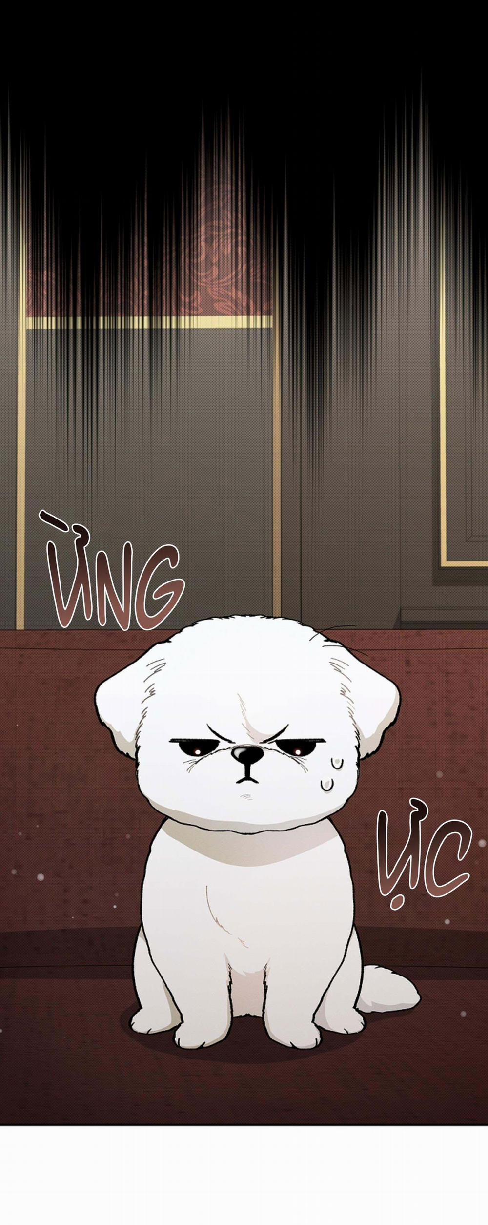 ĐỪNG ĐỘNG VÀO CÚN CON! 2 trang 9