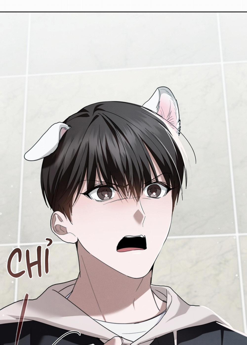 ĐỪNG ĐỘNG VÀO CÚN CON! 21 trang 31