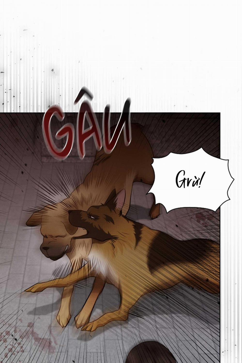 ĐỪNG ĐỘNG VÀO CÚN CON! 23 trang 81