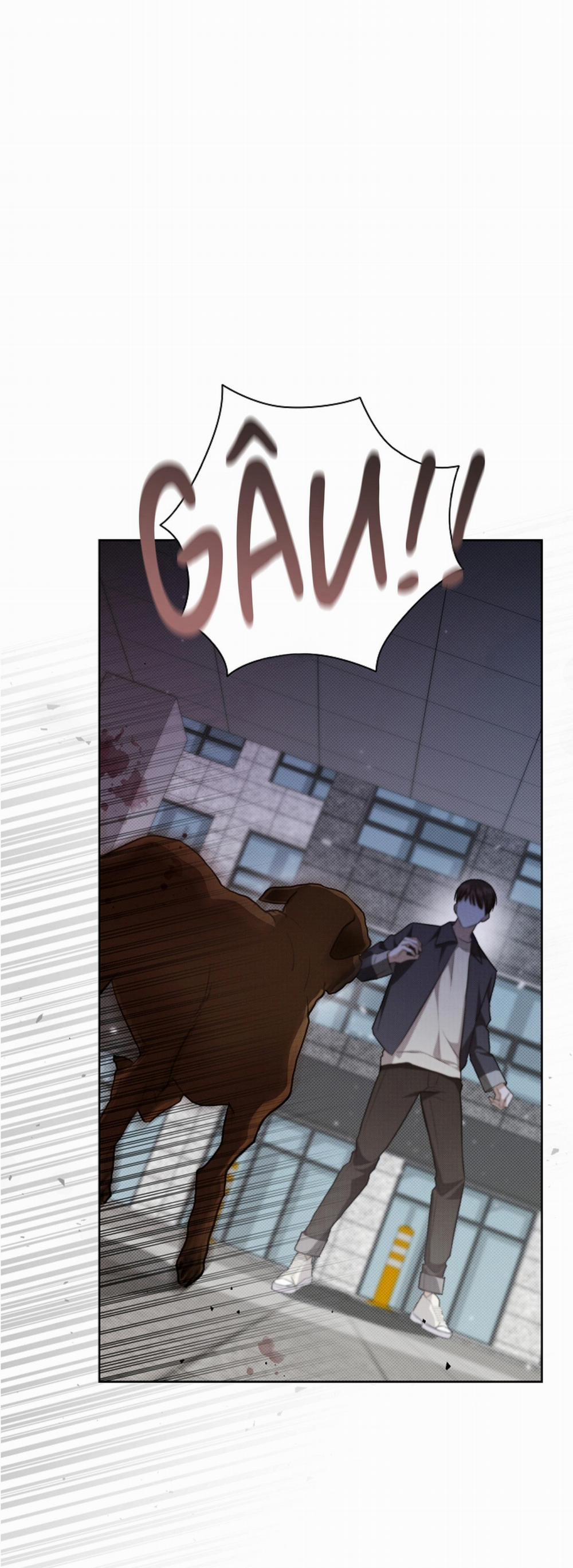 ĐỪNG ĐỘNG VÀO CÚN CON! 24 trang 0