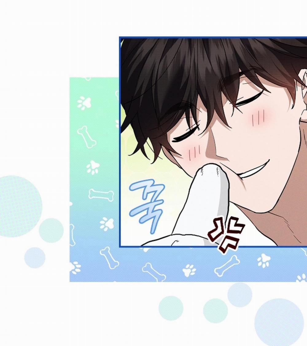 ĐỪNG ĐỘNG VÀO CÚN CON! 27 trang 11