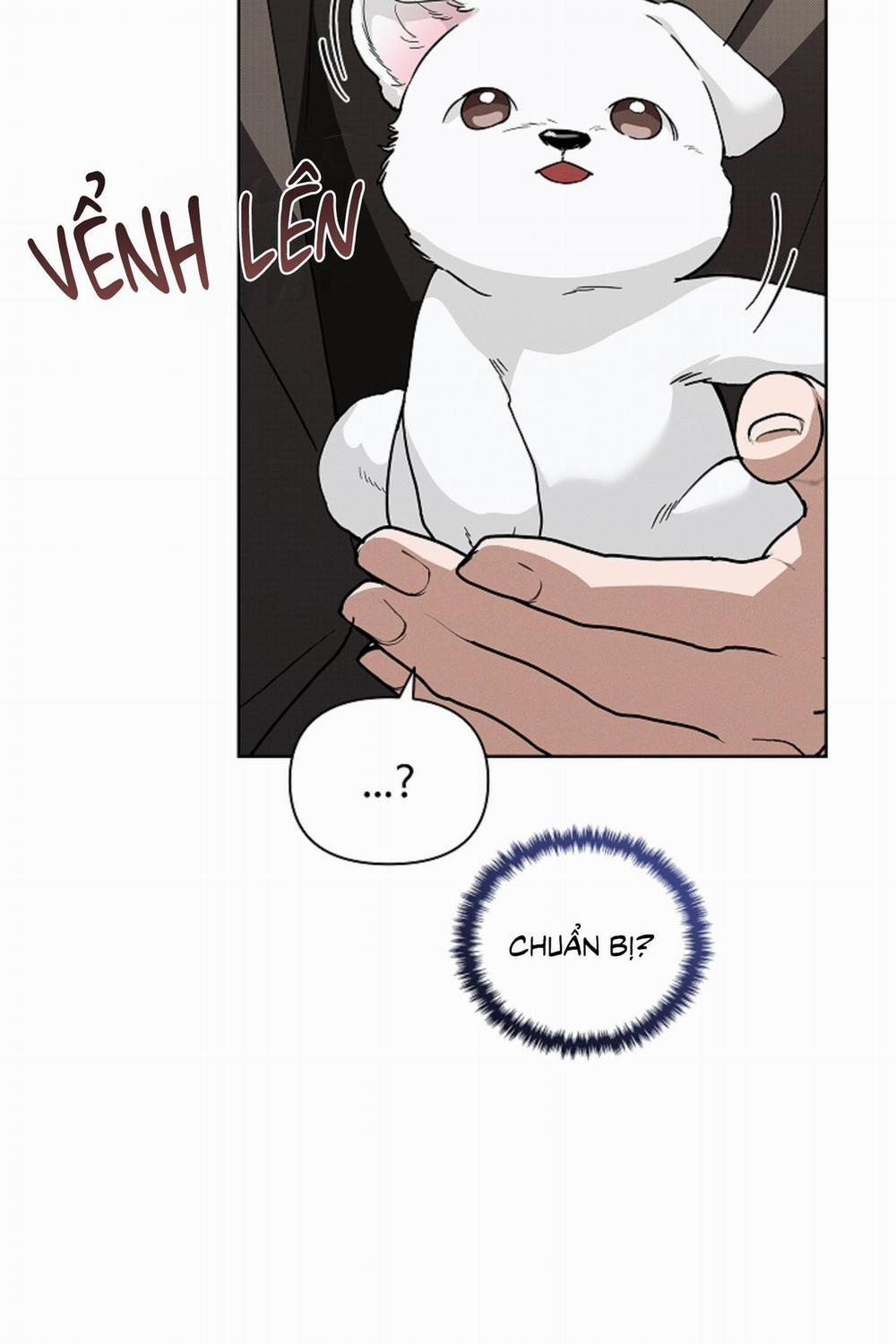 ĐỪNG ĐỘNG VÀO CÚN CON! 28 trang 37