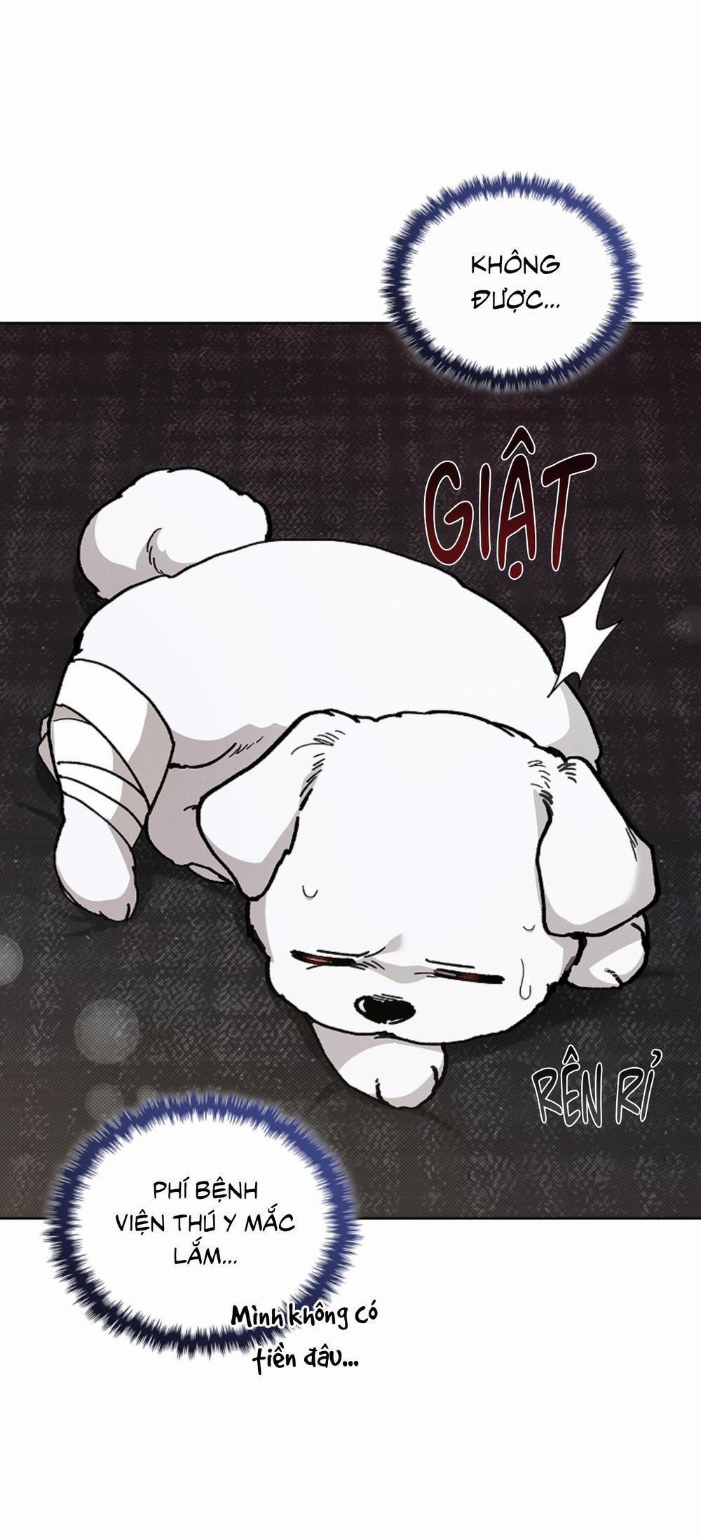 ĐỪNG ĐỘNG VÀO CÚN CON! 3 trang 48