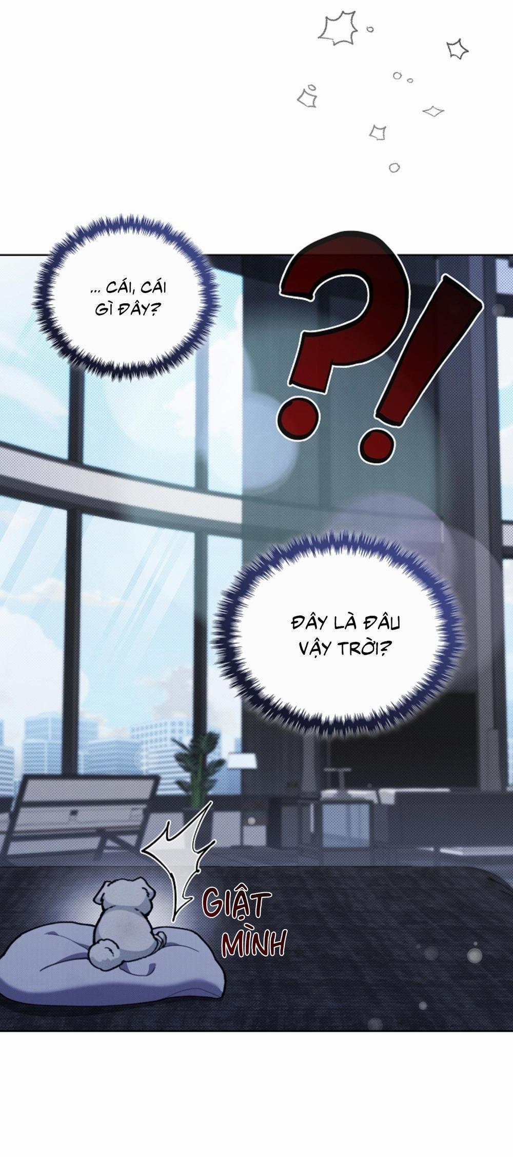 ĐỪNG ĐỘNG VÀO CÚN CON! 3 trang 51