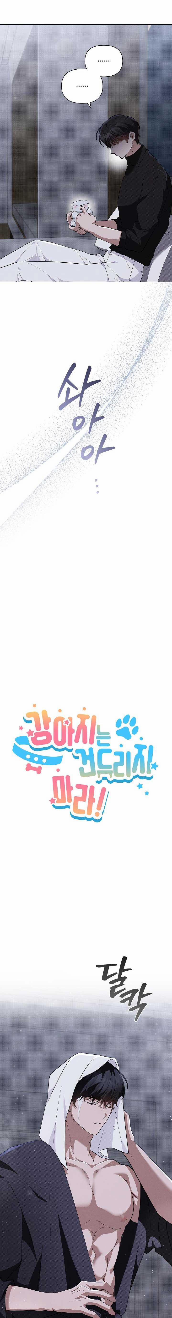 ĐỪNG ĐỘNG VÀO CÚN CON! 31 SS2 trang 2