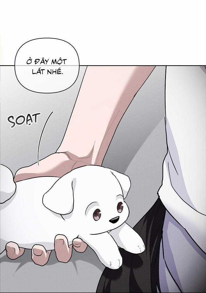 ĐỪNG ĐỘNG VÀO CÚN CON! 32 trang 19